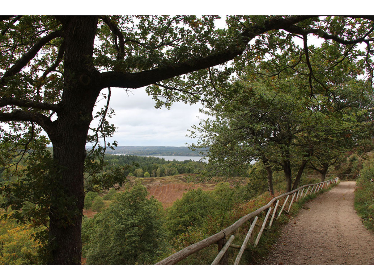 Mountainbike track med udsigt